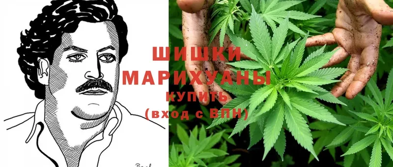 Каннабис White Widow  ссылка на мегу как зайти  Любим 